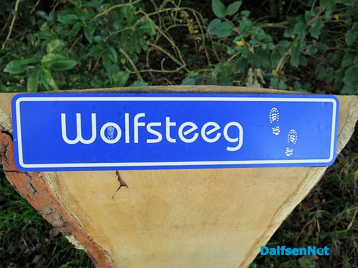 De Wolfsteeg op de Stokte - Foto: Wim