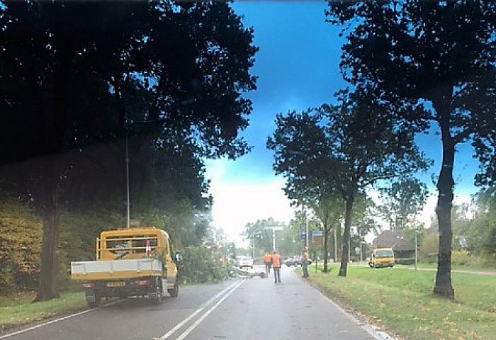 Grote tak door wind op Rondweg - Foto: Eigen geleverde foto