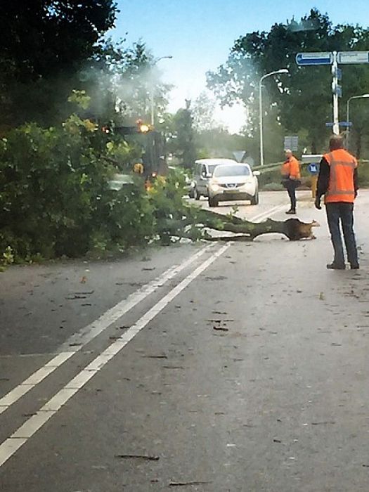 Grote tak door wind op Rondweg - Foto: Eigen geleverde foto