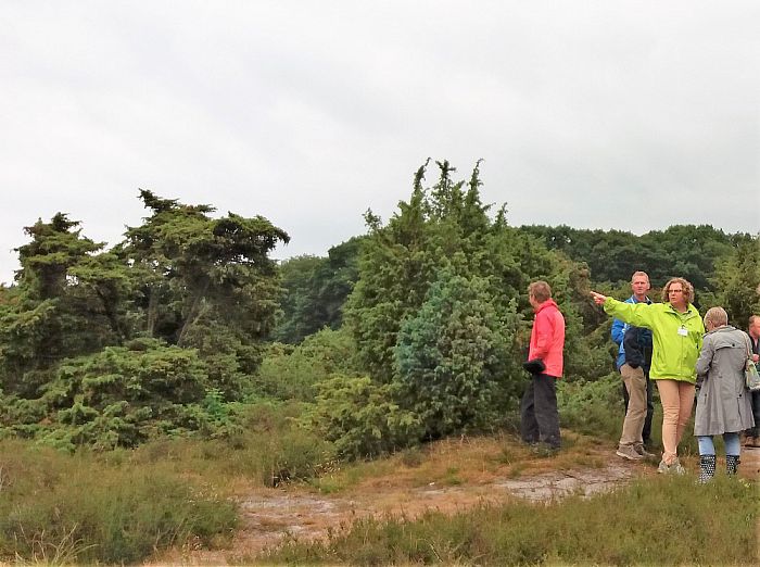 IVN- excursie op de Lemelerberg - Foto: Eigen geleverde foto