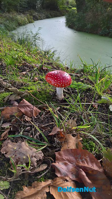 Herfst - Foto: Ingezonden foto