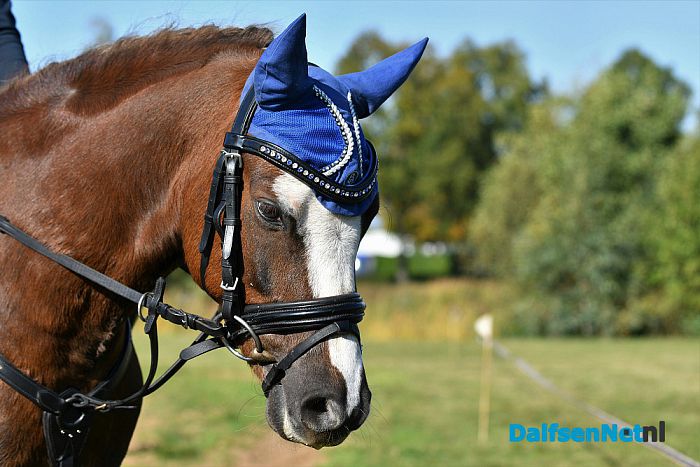 Clubkampioenschap Ponyclub Dalfsen - Foto: Johan Bokma