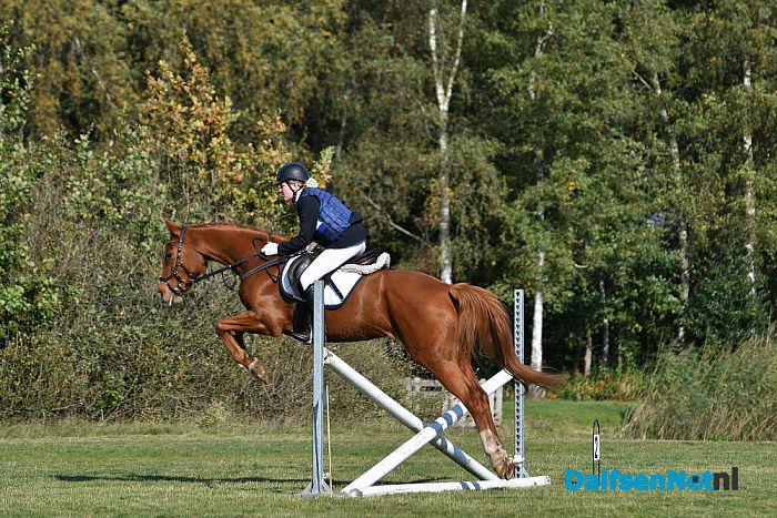 Clubkampioenschap Ponyclub Dalfsen - Foto: Johan Bokma