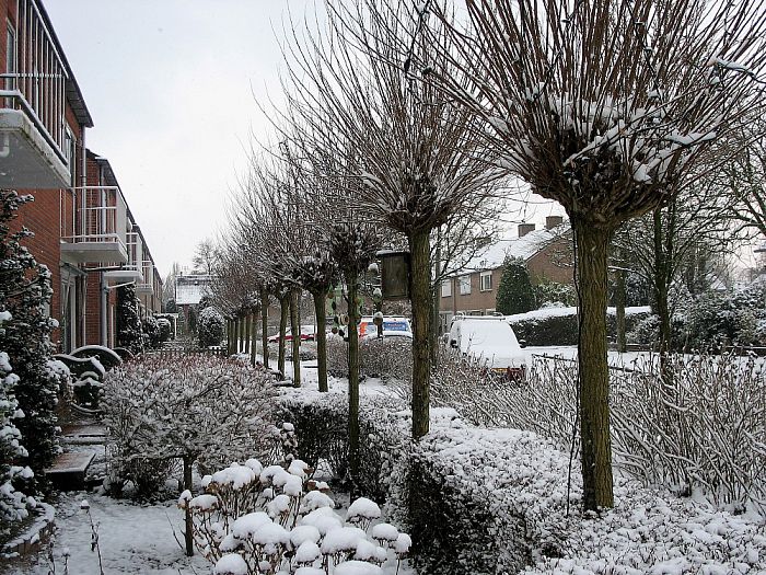Donkere dagen - Foto: Eigen geleverde foto