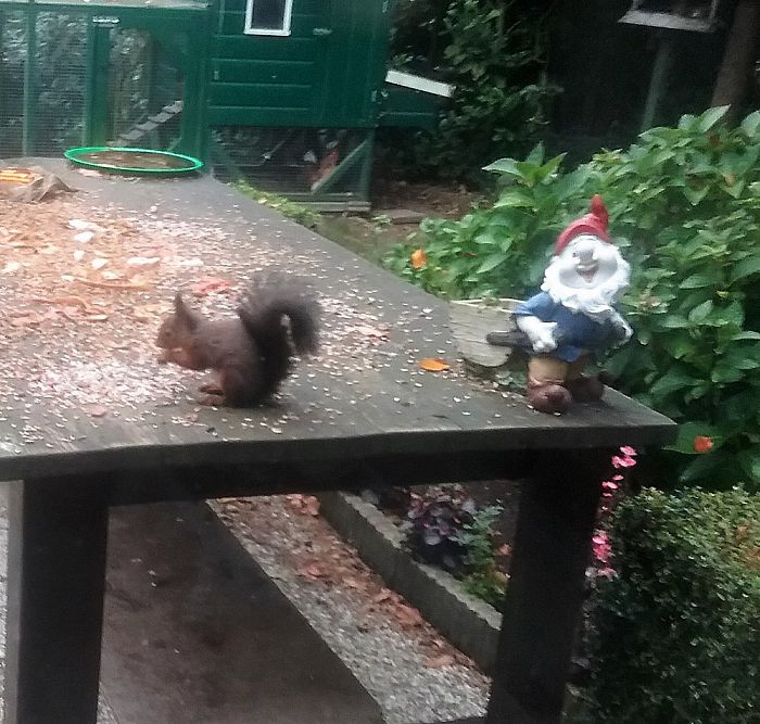 Bij de kachel naar eekhoorns kijken - Foto: Eigen geleverde foto