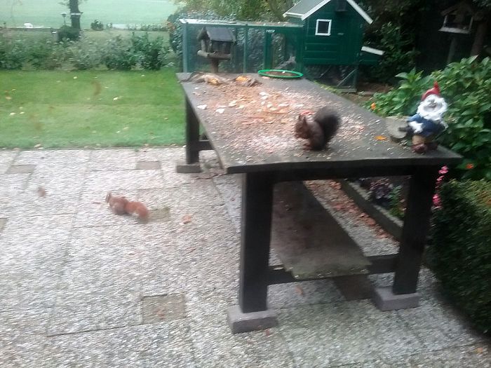 Bij de kachel naar eekhoorns kijken - Foto: Eigen geleverde foto