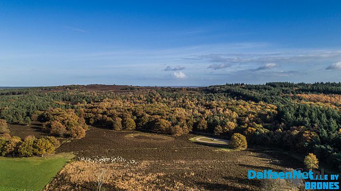 Schaapskudde Lemelerberg - Foto: Ingezonden foto