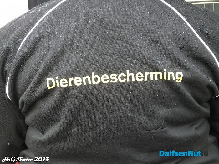 Brandweer Lemelerveld op zwanenjacht. - Foto: H.G. Foto