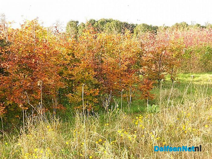 Herfst, ook bij de boomkweker