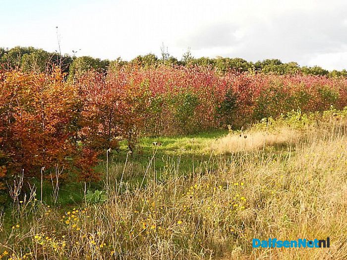 Herfst, ook bij de boomkweker
