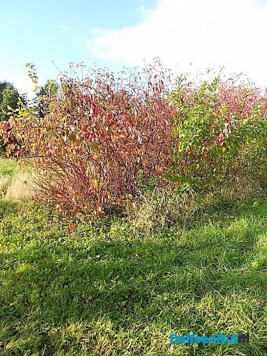 Herfst, ook bij de boomkweker