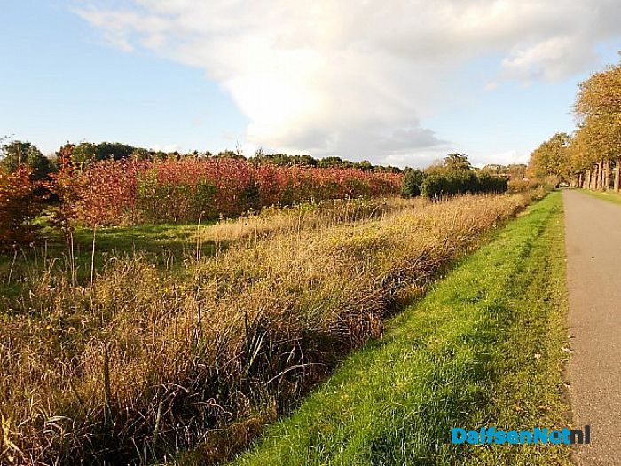 Herfst, ook bij de boomkweker