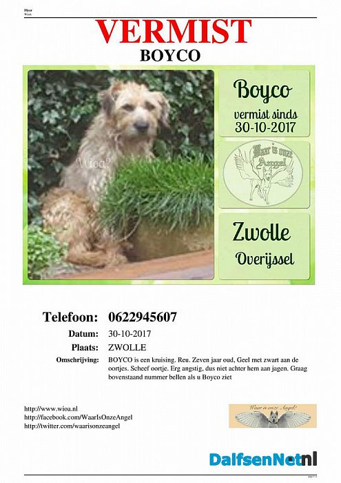 Boyco vermist - Foto: Ingezonden foto