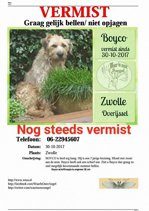Hond al bijna 4 weken vermist