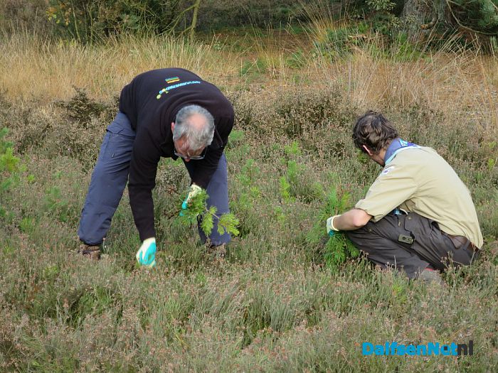 Natuurwerkdag in het Rechterenseveld - Foto: Wim