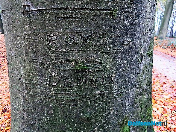 Bomen vertellen veel verhalen - Foto: Wim