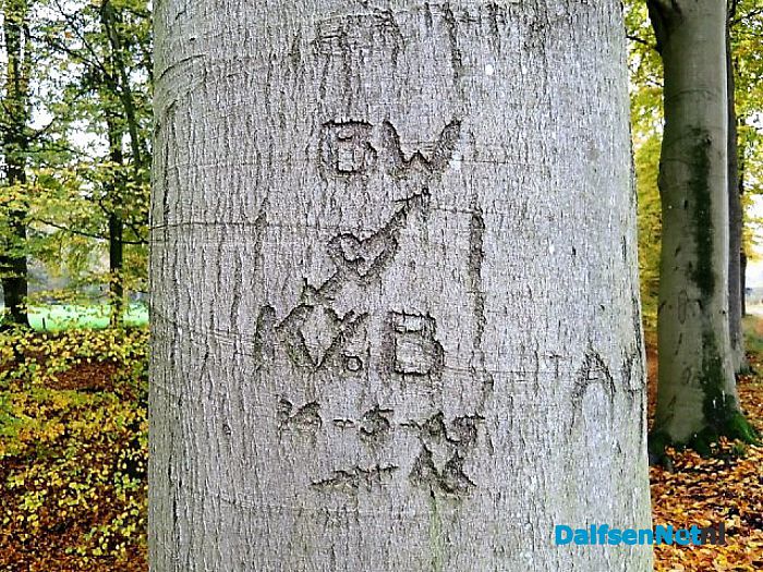 Bomen vertellen veel verhalen - Foto: Wim