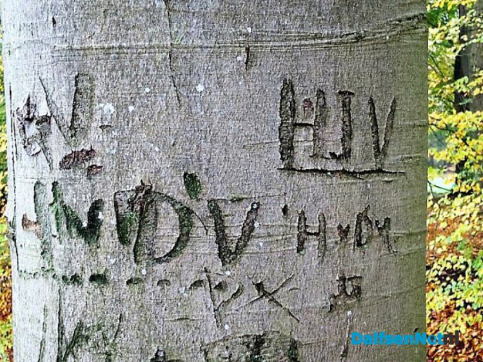 Bomen vertellen veel verhalen - Foto: Wim