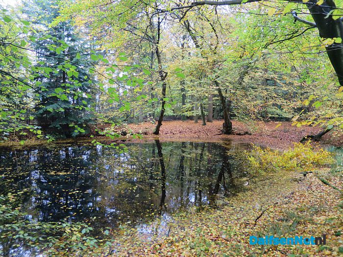 De Mataram en de Horte prachtige herfstkleuren - Foto: Wim