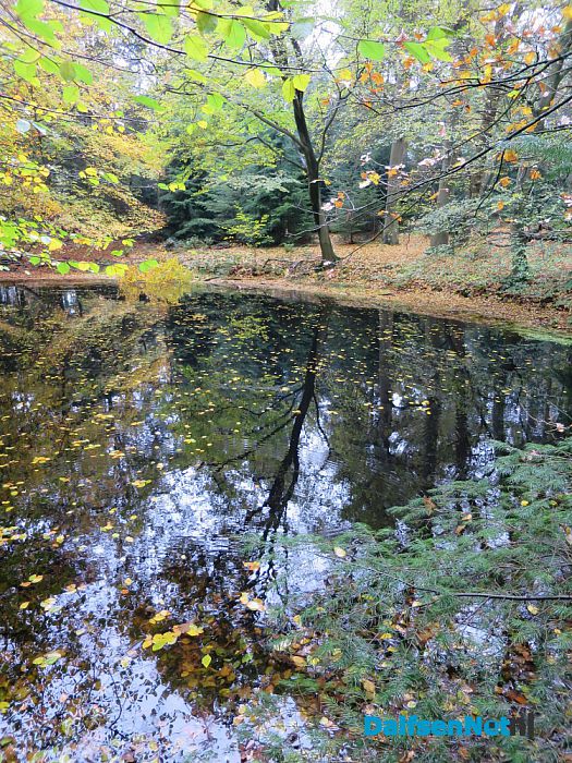 De Mataram en de Horte prachtige herfstkleuren - Foto: Wim