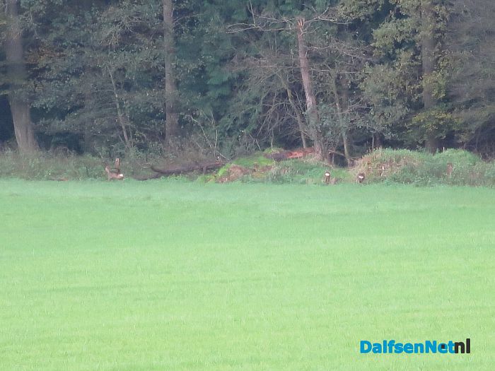 De Mataram en de Horte prachtige herfstkleuren - Foto: Wim