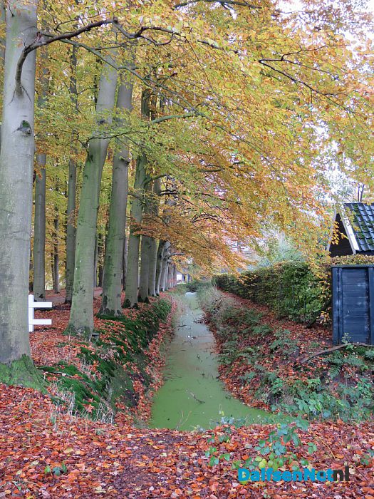 De Mataram en de Horte prachtige herfstkleuren - Foto: Wim