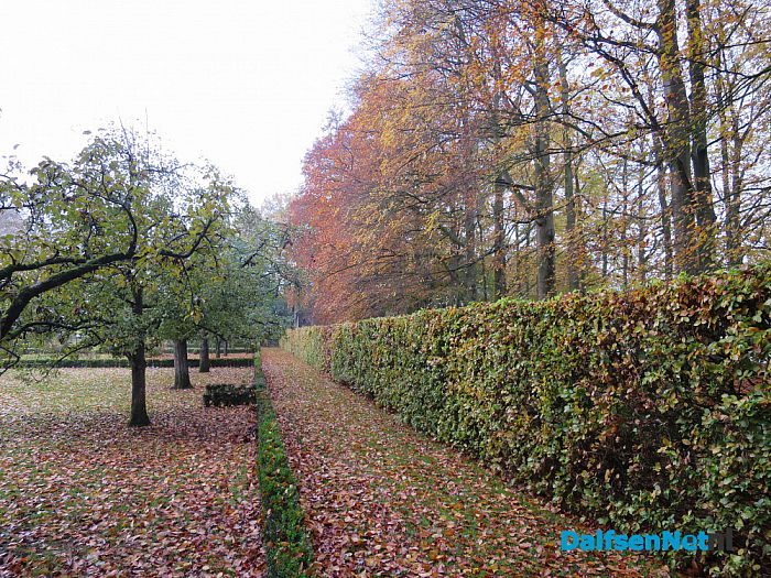 De Mataram en de Horte prachtige herfstkleuren - Foto: Wim