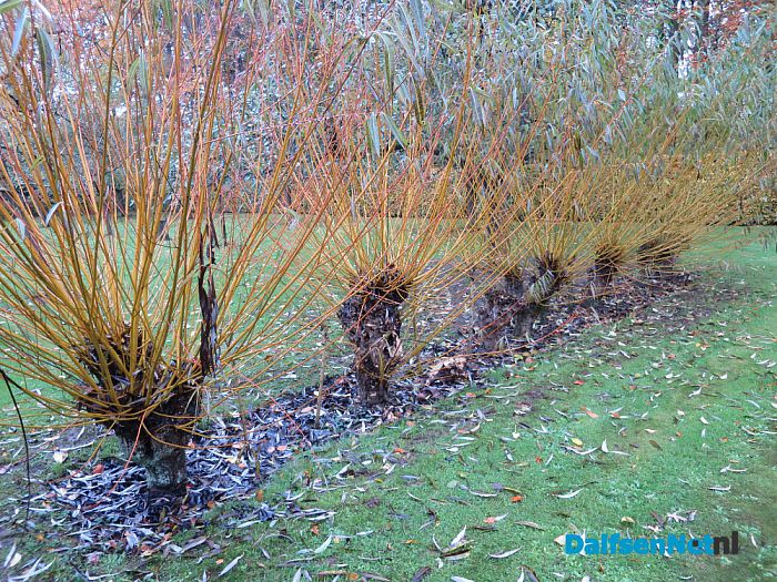 De Mataram en de Horte prachtige herfstkleuren - Foto: Wim