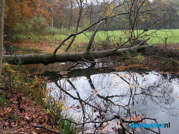 De Mataram en de Horte prachtige herfstkleuren - Foto: Wim