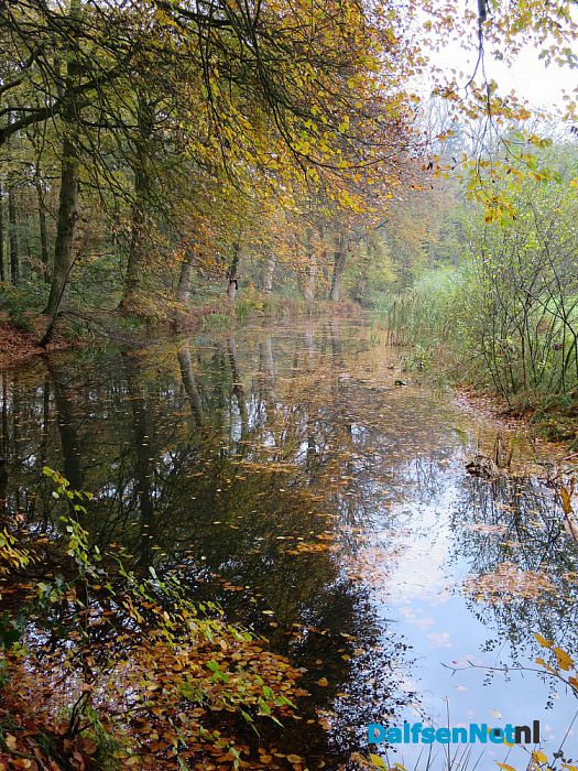 De Mataram en de Horte prachtige herfstkleuren - Foto: Wim