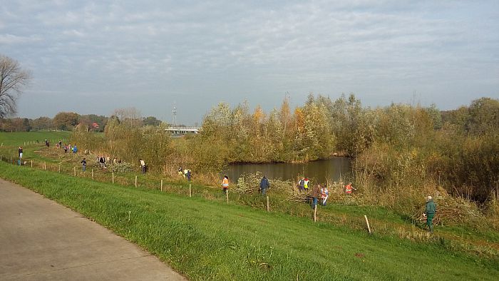 Natuurwerkdag; de grootste vrijwilligersdag in het groen - Foto: Eigen geleverde foto