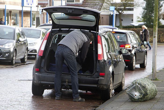 De mooiste Kerstbomen, die zijn er nog - Foto: Geert Bistervels