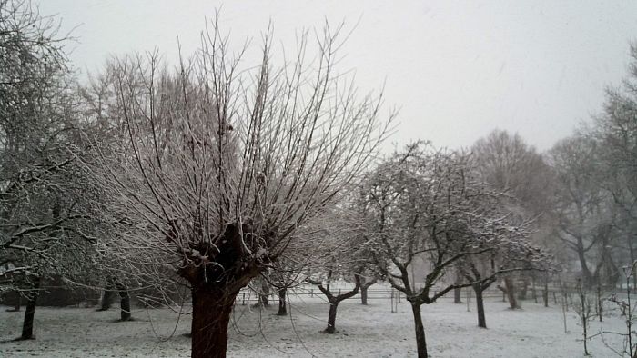 Ingezonden sneeuwfoto’s - Foto: Eigen geleverde foto