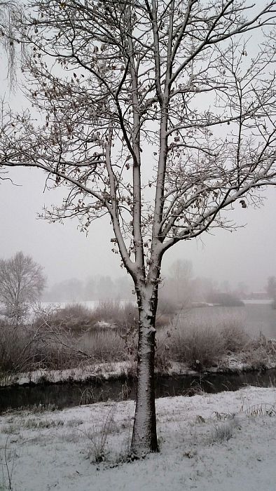 Ingezonden sneeuwfoto’s - Foto: Eigen geleverde foto