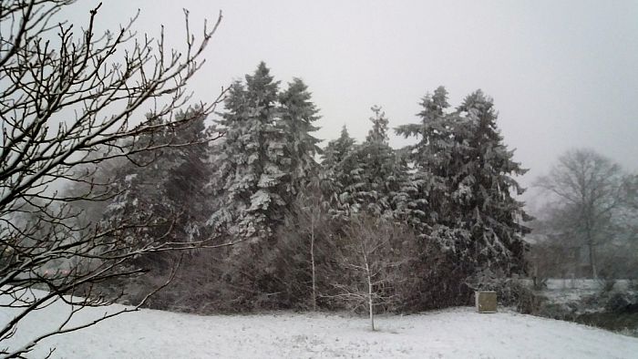 Ingezonden sneeuwfoto’s - Foto: Eigen geleverde foto