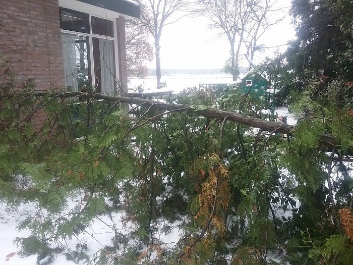 Ook in Oudleusen knakken de takken - Foto: Eigen geleverde foto