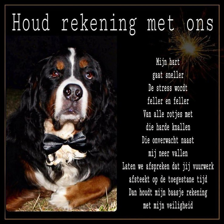 vuurwerk - Foto: Ingezonden foto
