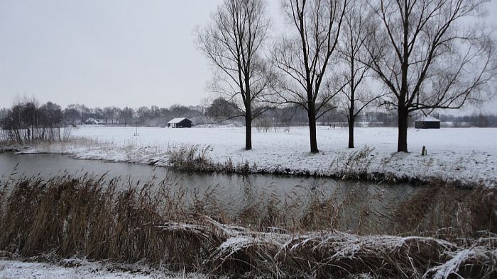 sneeuwbeelden - Foto: Eigen geleverde foto