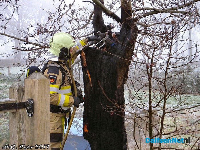 Boom in de brand aan de Middeldijk. - Foto: H.G. Foto