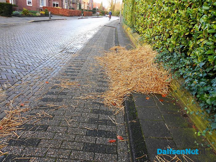 Het wordt een zware nacht voor het paard van Sinterklaas