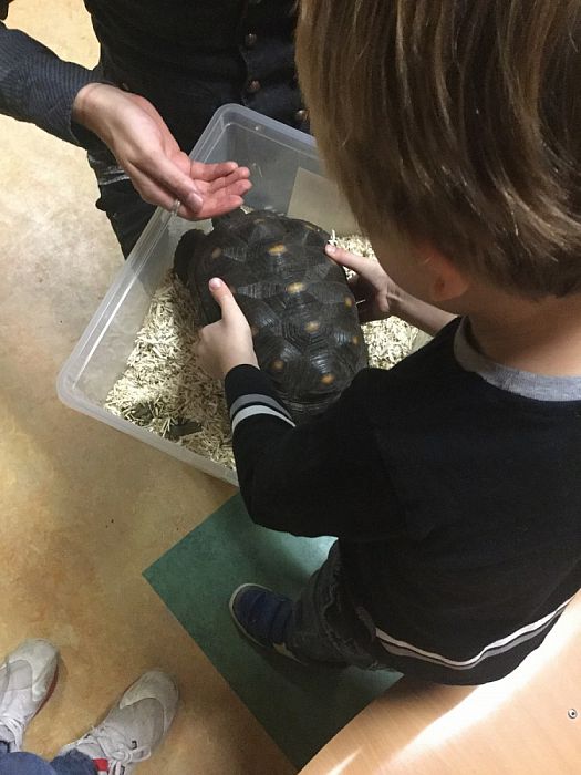 Reptielen bij BSO Doomijn - Foto: Eigen geleverde foto