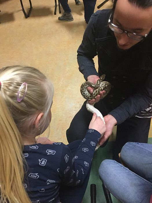 Reptielen bij BSO Doomijn - Foto: Eigen geleverde foto