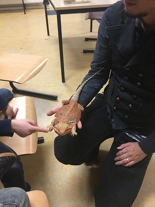 Reptielen bij BSO Doomijn - Foto: Eigen geleverde foto