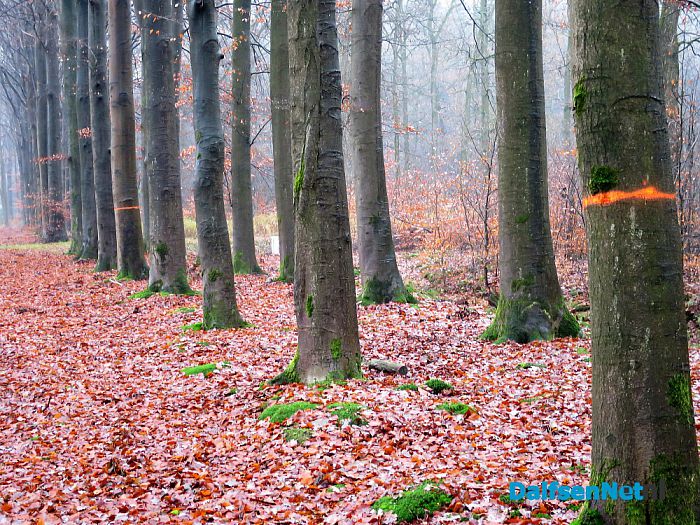 Groot onderhoud Bergerallee - Foto: Wim