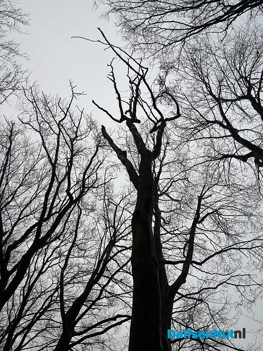 Groot onderhoud Bergerallee - Foto: Wim