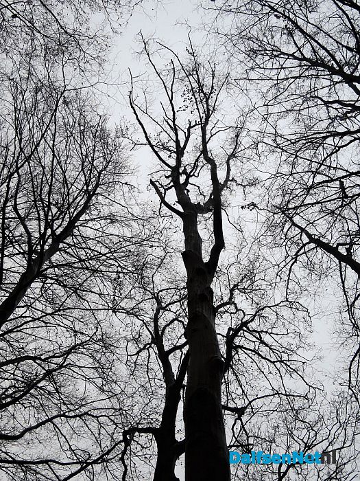 Groot onderhoud Bergerallee - Foto: Wim