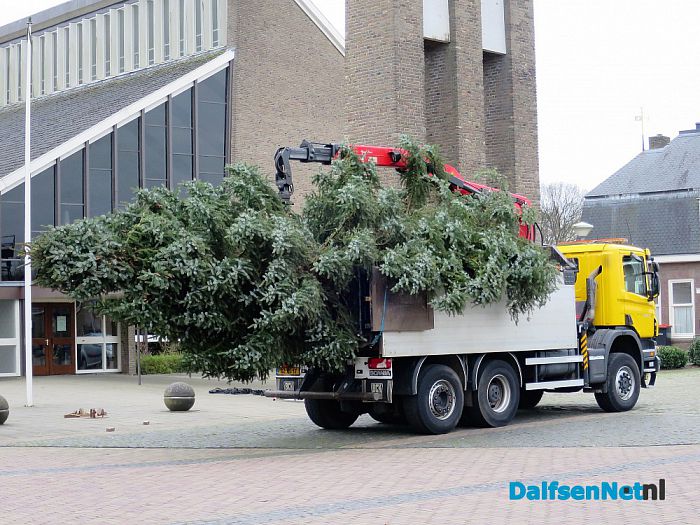 Prachtige Kerstboom staat inmiddels in Hoonhorst - Foto: Wim