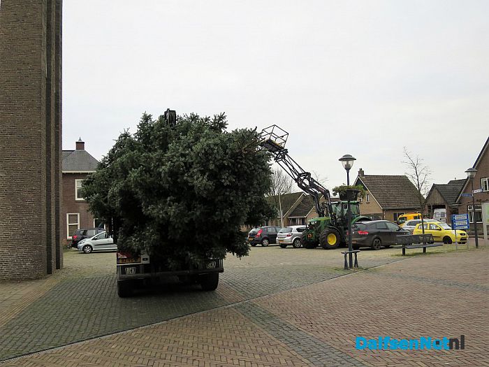Prachtige Kerstboom staat inmiddels in Hoonhorst - Foto: Wim