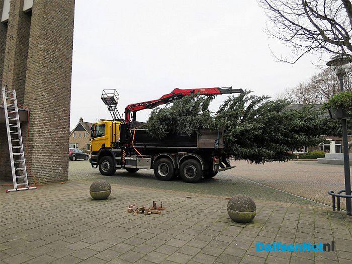 Prachtige Kerstboom staat inmiddels in Hoonhorst - Foto: Wim