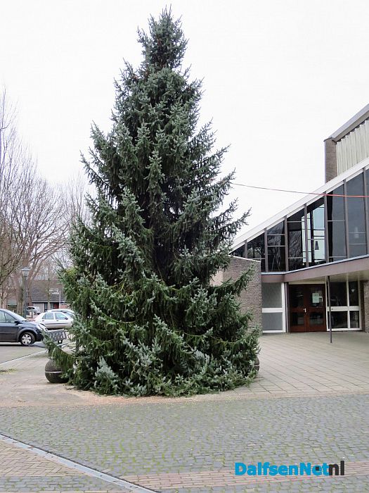 Prachtige Kerstboom staat inmiddels in Hoonhorst - Foto: Wim